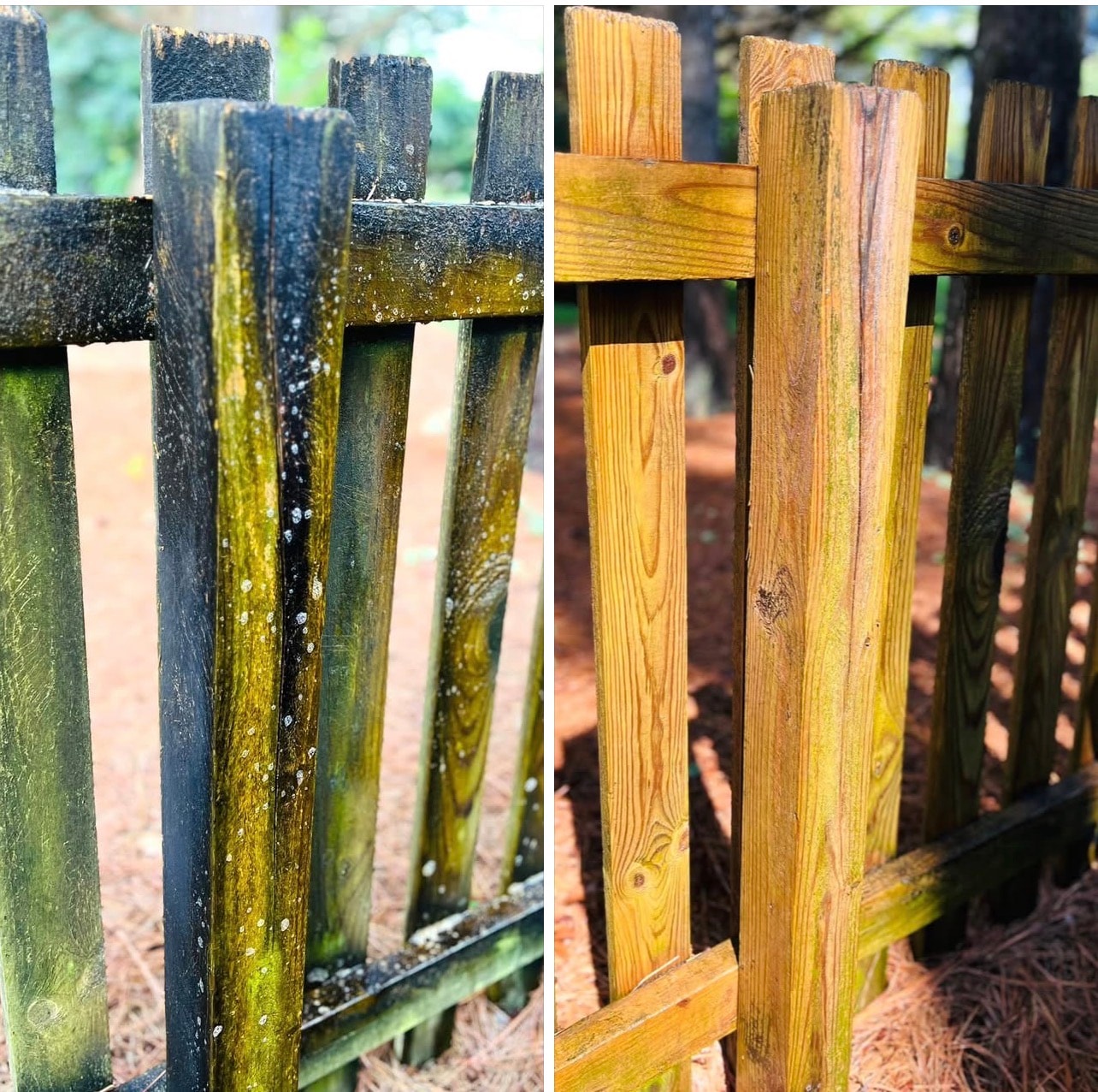 Wooden fence before and after pressure washing